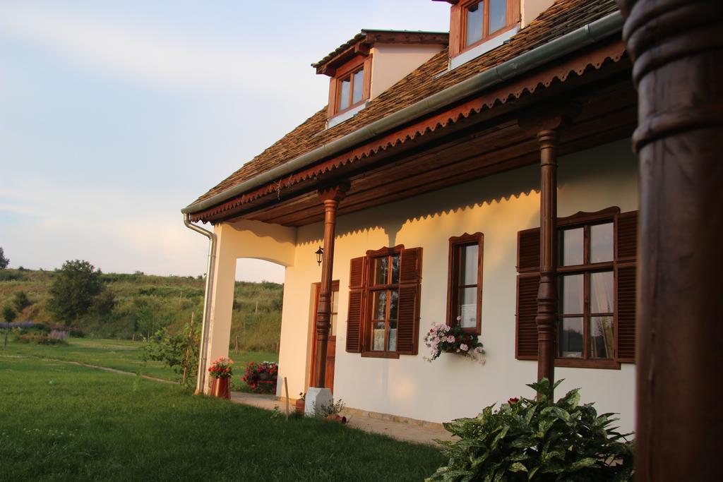 Hotel Matievics Boraszat Es Vendeghaz Szálka Exteriér fotografie